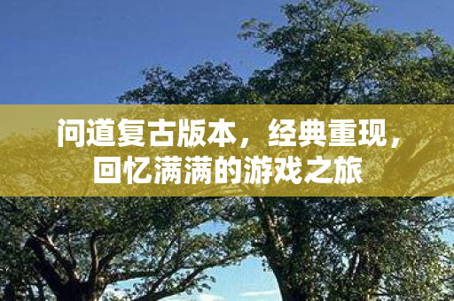 问道复古版本，经典重现，回忆满满的游戏之旅