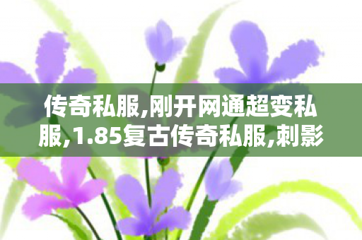 传奇私服,刚开网通超变私服,1.85复古传奇私服,刺影传奇,1.85复古传奇私服