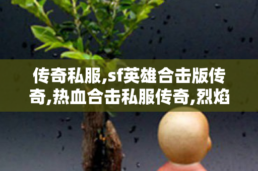 传奇私服,sf英雄合击版传奇,热血合击私服传奇,烈焰私服发布网,热血合击私服传奇