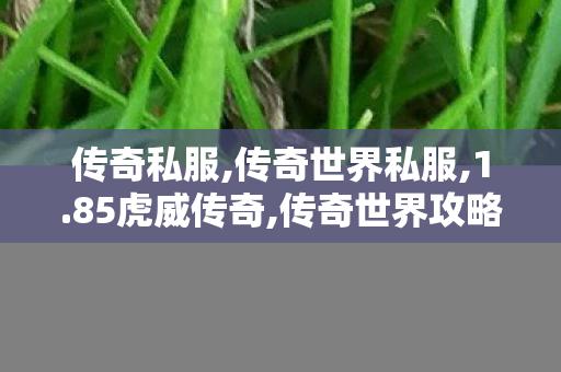 传奇私服,传奇世界私服,1.85虎威传奇,传奇世界攻略,1.85虎威传奇