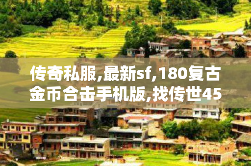 传奇私服,最新sf,180复古金币合击手机版,找传世45woool传世散人服,180复古金币合击手机版