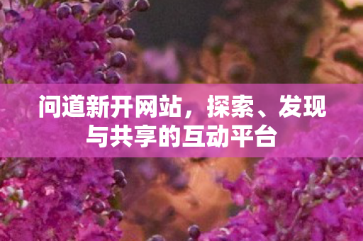 问道新开网站，探索、发现与共享的互动平台
