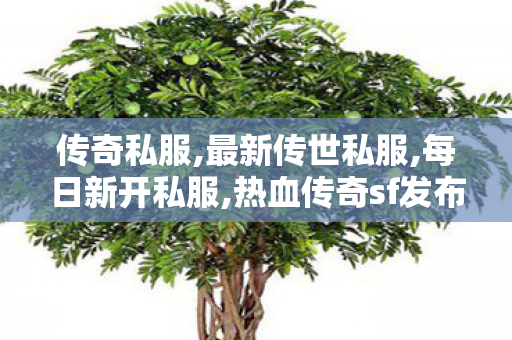 传奇私服,最新传世私服,每日新开私服,热血传奇sf发布,每日新开私服