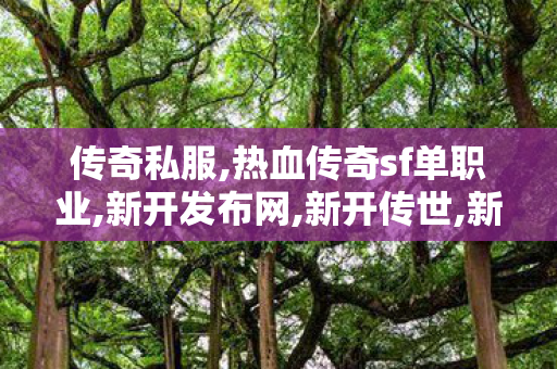 传奇私服,热血传奇sf单职业,新开发布网,新开传世,新开发布网