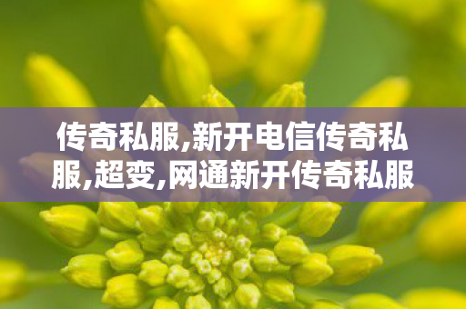 传奇私服,新开电信传奇私服,超变,网通新开传奇私服,超变