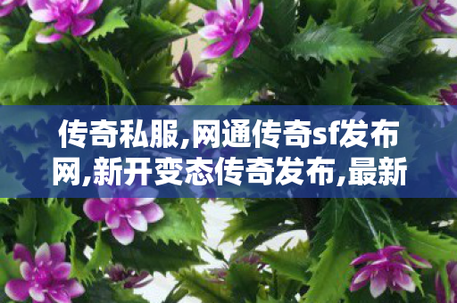 传奇私服,网通传奇sf发布网,新开变态传奇发布,最新征服私服,新开变态传奇发布