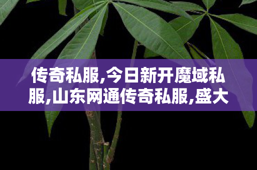 传奇私服,今日新开魔域私服,山东网通传奇私服,盛大热血传奇私服,山东网通传奇私服
