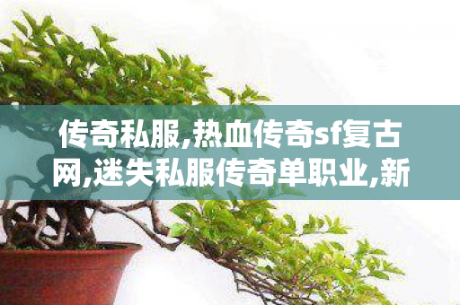 传奇私服,热血传奇sf复古网,迷失私服传奇单职业,新八仙过海传奇,迷失私服传奇单职业