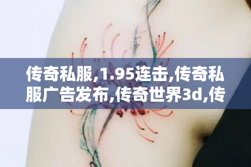 传奇私服,1.95连击,传奇私服广告发布,传奇世界3d,传奇私服广告发布
