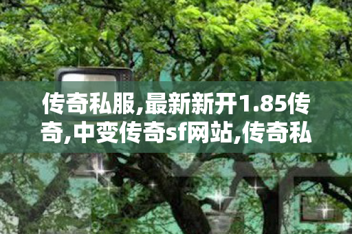 传奇私服,最新新开1.85传奇,中变传奇sf网站,传奇私服一条龙,中变传奇sf网站