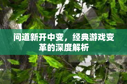 问道新开中变，经典游戏变革的深度解析