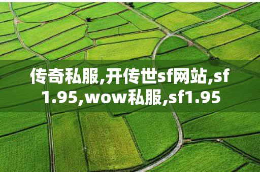 传奇私服,开传世sf网站,sf1.95,wow私服,sf1.95