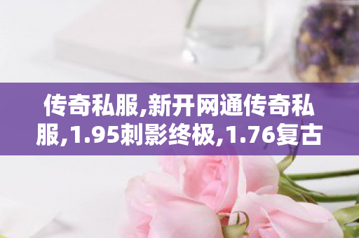 传奇私服,新开网通传奇私服,1.95刺影终极,1.76复古传奇发布网站,1.95刺影终极