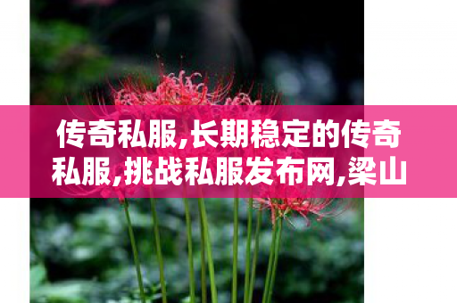 传奇私服,长期稳定的传奇私服,挑战私服发布网,梁山传奇176手游版,挑战私服发布网