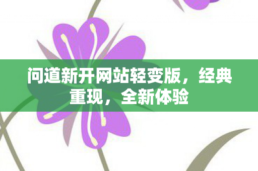 问道新开网站轻变版，经典重现，全新体验