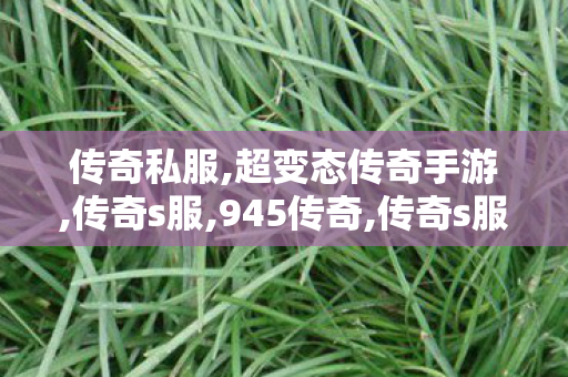传奇私服,超变态传奇手游,传奇s服,945传奇,传奇s服