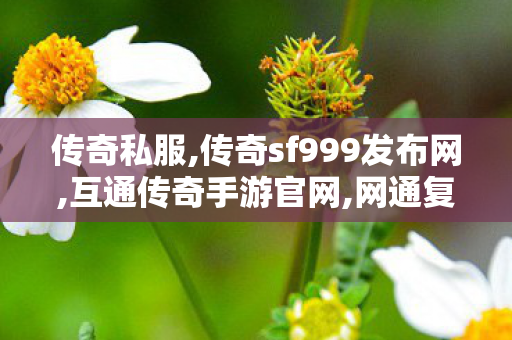 传奇私服,传奇sf999发布网,互通传奇手游官网,网通复古传奇私服,互通传奇手游官网