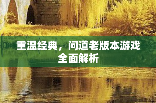 重温经典，问道老版本游戏全面解析