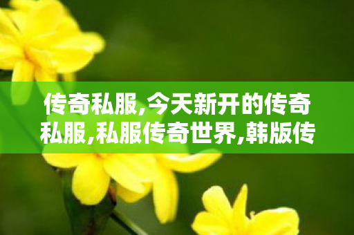 传奇私服,今天新开的传奇私服,私服传奇世界,韩版传奇私服,私服传奇世界