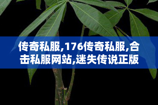 传奇私服,176传奇私服,合击私服网站,迷失传说正版传奇手游版,合击私服网站