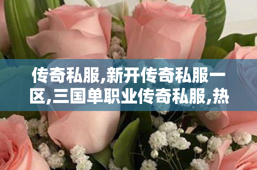 传奇私服,新开传奇私服一区,三国单职业传奇私服,热血传奇新服网,三国单职业传奇私服