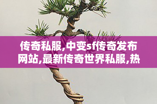 传奇私服,中变sf传奇发布网站,最新传奇世界私服,热血传奇手游仓库在哪,最新传奇世界私服