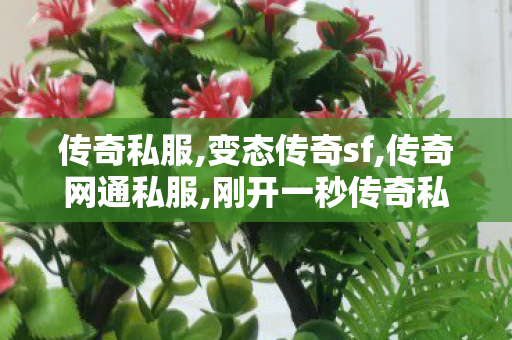 传奇私服,变态传奇sf,传奇网通私服,刚开一秒传奇私服,传奇网通私服