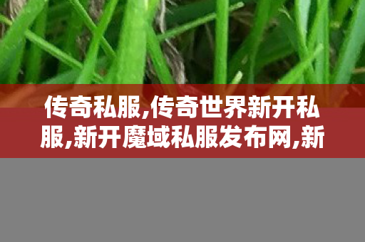 传奇私服,传奇世界新开私服,新开魔域私服发布网,新开传奇1.85,新开魔域私服发布网