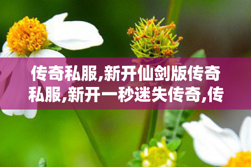 传奇私服,新开仙剑版传奇私服,新开一秒迷失传奇,传世发布网,新开一秒迷失传奇