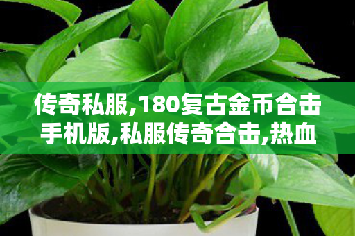 传奇私服,180复古金币合击手机版,私服传奇合击,热血传奇网,私服传奇合击