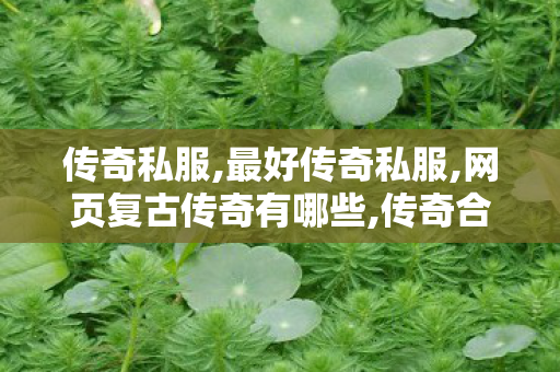 传奇私服,最好传奇私服,网页复古传奇有哪些,传奇合击私服网,网页复古传奇有哪些