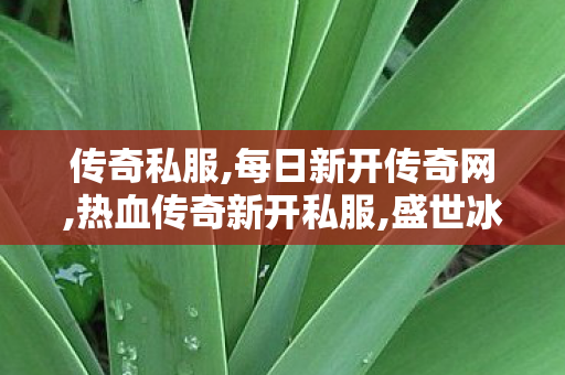 传奇私服,每日新开传奇网,热血传奇新开私服,盛世冰雪传奇手游,热血传奇新开私服