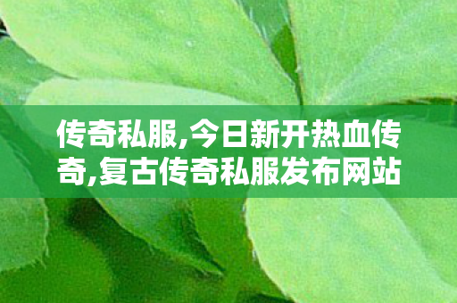 传奇私服,今日新开热血传奇,复古传奇私服发布网站,2合1传奇私服,复古传奇私服发布网站