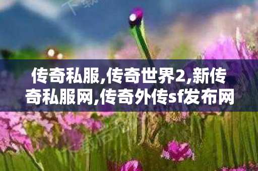 传奇私服,传奇世界2,新传奇私服网,传奇外传sf发布网,新传奇私服网