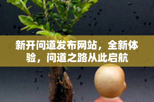 新开问道发布网站，全新体验，问道之路从此启航
