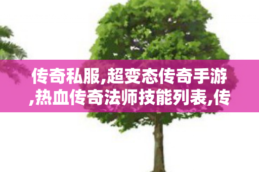 传奇私服,超变态传奇手游,热血传奇法师技能列表,传奇发布网,热血传奇法师技能列表