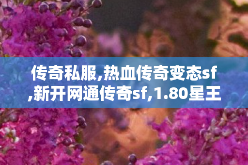 传奇私服,热血传奇变态sf,新开网通传奇sf,1.80星王合击,新开网通传奇sf