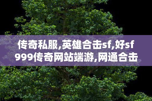 传奇私服,英雄合击sf,好sf999传奇网站端游,网通合击私服,好sf999传奇网站端游