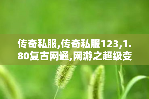 传奇私服,传奇私服123,1.80复古网通,网游之超级变态,1.80复古网通