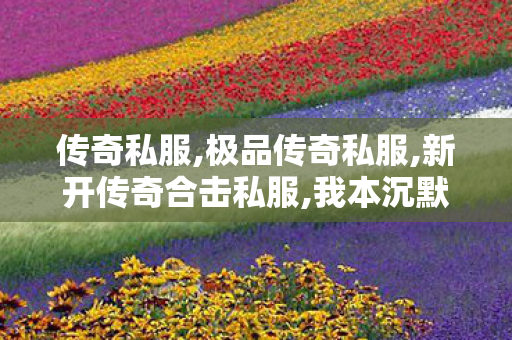 传奇私服,极品传奇私服,新开传奇合击私服,我本沉默元素版传奇,新开传奇合击私服