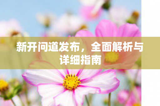 新开问道发布，全面解析与详细指南