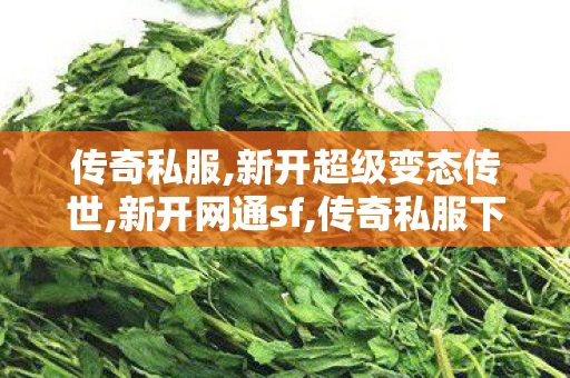 传奇私服,新开超级变态传世,新开网通sf,传奇私服下载,新开网通sf