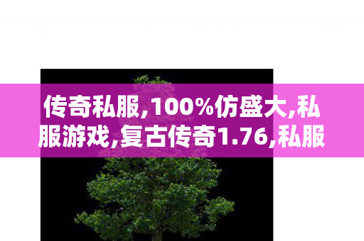 传奇私服,100%仿盛大,私服游戏,复古传奇1.76,私服游戏