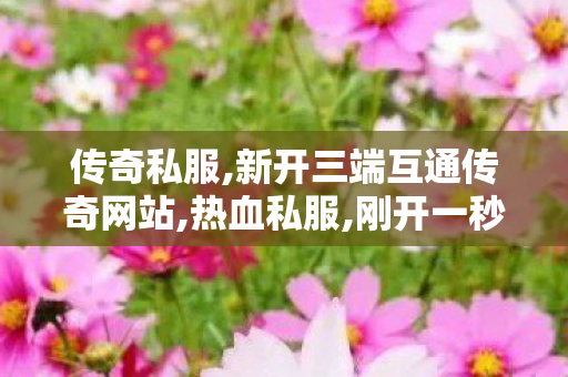 传奇私服,新开三端互通传奇网站,热血私服,刚开一秒传奇sf,热血私服