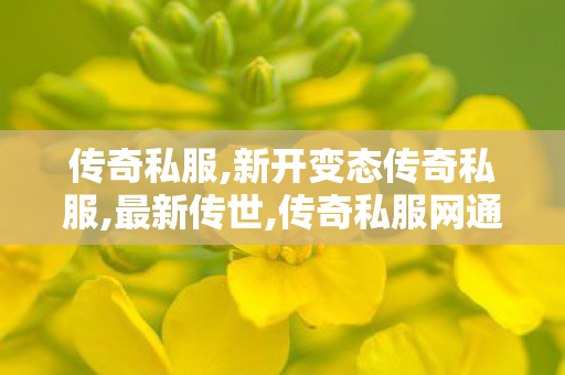 传奇私服,新开变态传奇私服,最新传世,传奇私服网通,最新传世