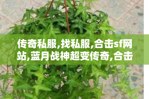 传奇私服,找私服,合击sf网站,蓝月战神超变传奇,合击sf网站