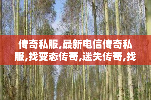 传奇私服,最新电信传奇私服,找变态传奇,迷失传奇,找变态传奇