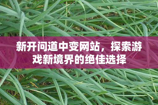 新开问道中变网站，探索游戏新境界的绝佳选择