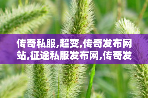 传奇私服,超变,传奇发布网站,征途私服发布网,传奇发布网站