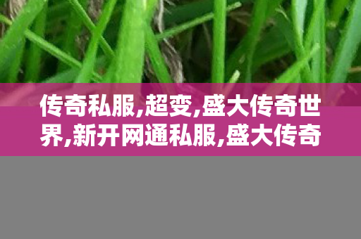 传奇私服,超变,盛大传奇世界,新开网通私服,盛大传奇世界